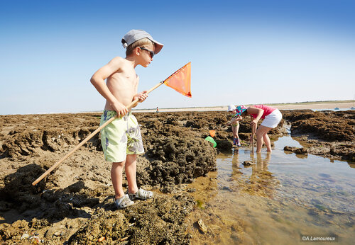 Ni�os pescando a pie en la playa, camping CAPFUN Dauphins Bleus GIVRAND (85).