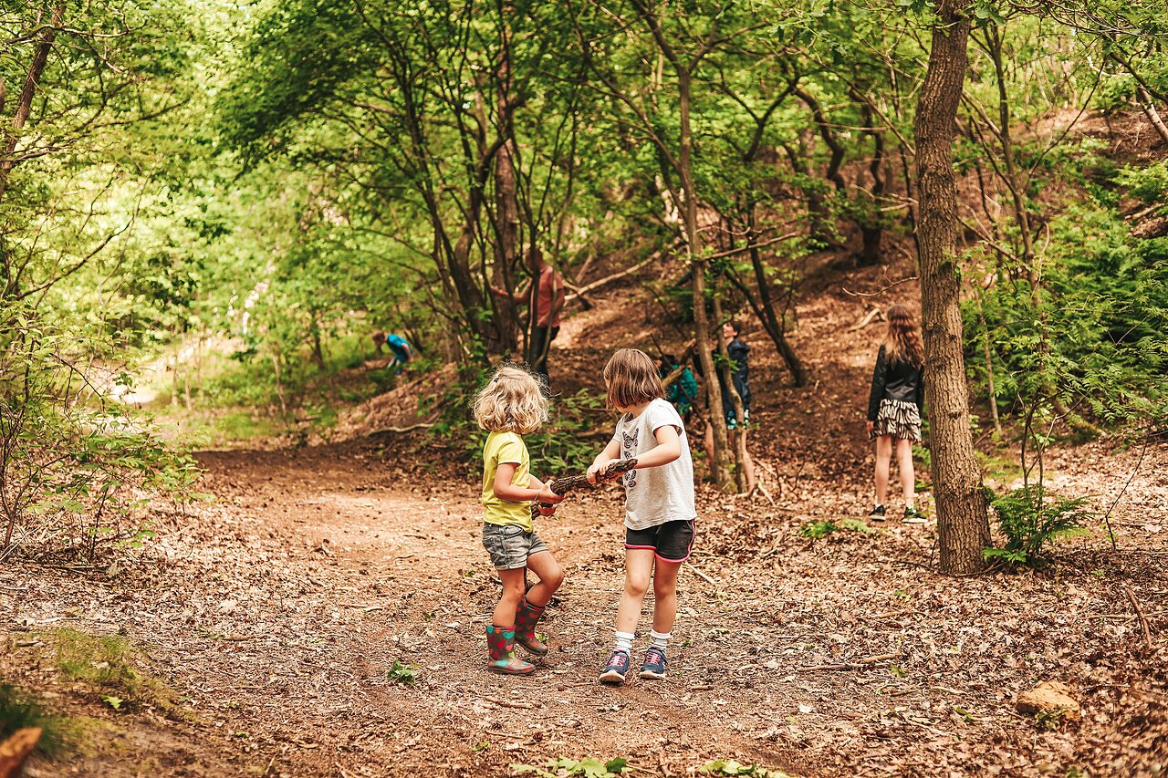 Ni�os jugando con palos en el bosque en el camping CAPFUN De Belten en Rheeze.