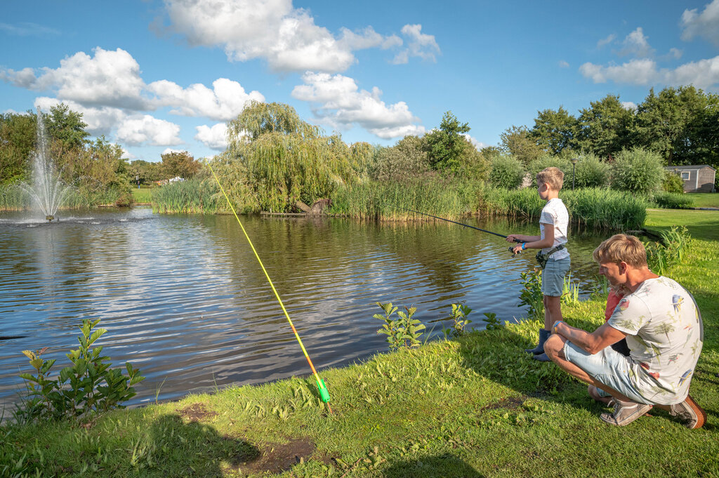 De Bongerd, Camping Noord-Holland - 18