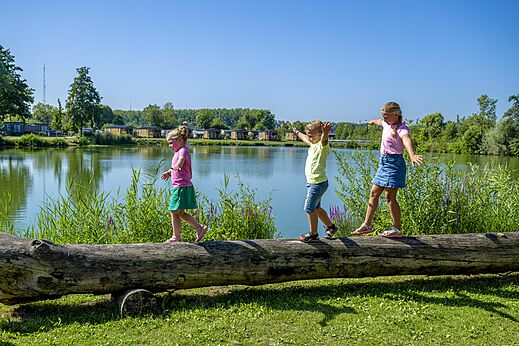 Niños jugando en viga de equilibrio de madera en camping CAPFUN De Rotonde en Enspijk.