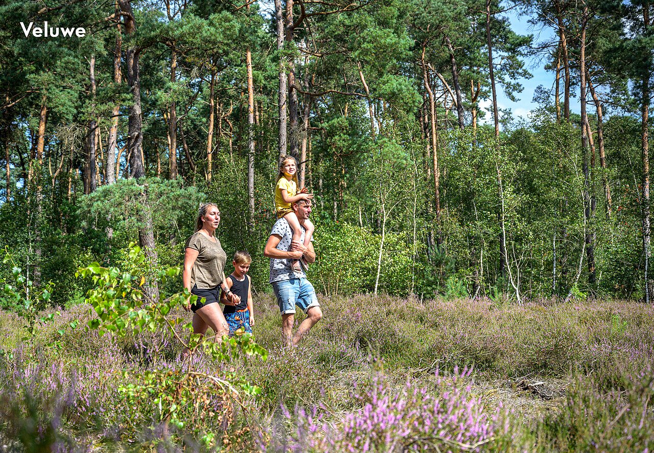 Familia paseando por la naturaleza de Veluwe, lugar para visitar cerca del camping.
