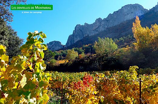 Les Dentelles de Montmirail, vi�edos coloridos en oto�o, macizo monta�oso en Provenza.