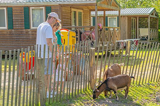 Mini-granja con cabras y familia en el camping CAPFUN Dune Fleurie en Quend Plage.