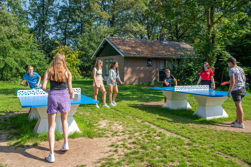 Eibernest, Camping Gelderland - 33