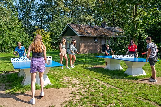 Mesas de ping-pong exteriores y jóvenes jugando en el camping CAPFUN Eibernest en Eibergen.