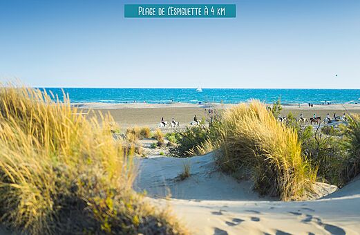 Playa de l'Espiguette, dunas y caballos cerca de Le Grau du Roi.