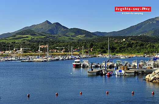 Puerto deportivo de Argelès-sur-Mer con barcos y montañas de los Pirineos Orientales.