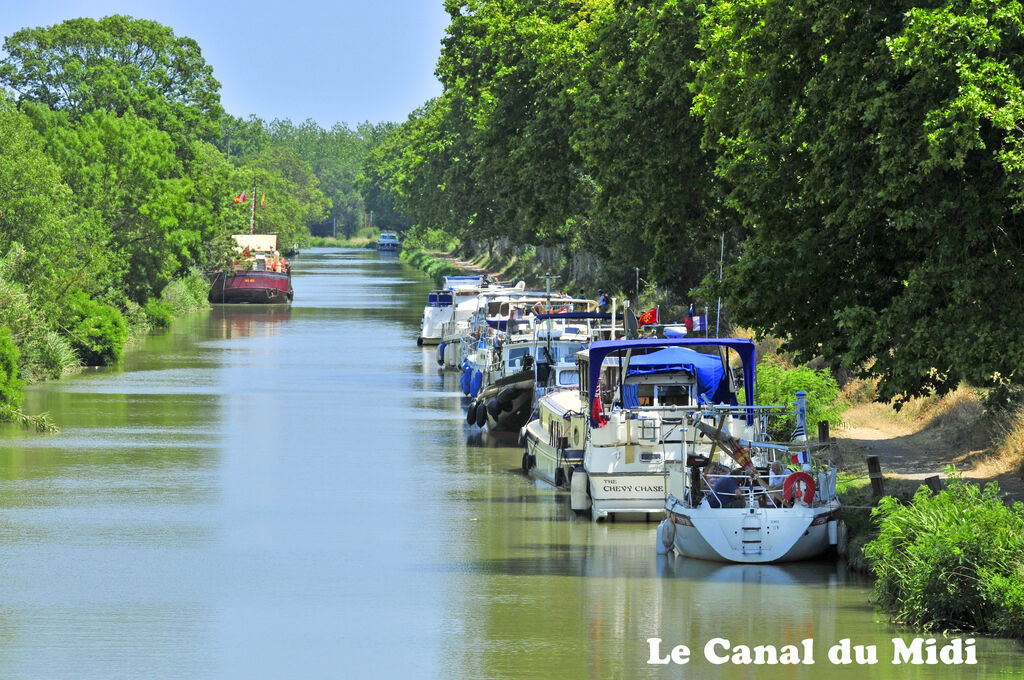 Emeraude, Camping Languedoc Roussillon - 10