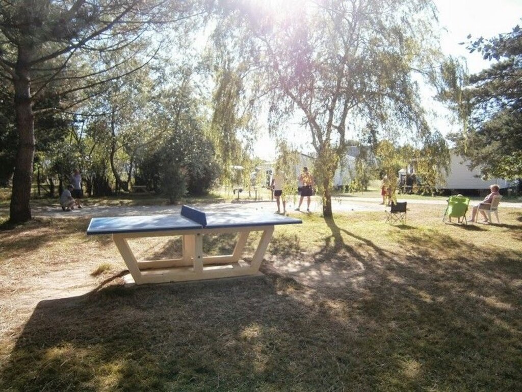 Etoile de Mer, Camping Pays de la Loire - 18