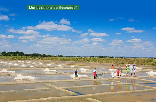 Marismas de Guérande, sitio natural para visitar cerca de Asserac en Loira Atlántico.