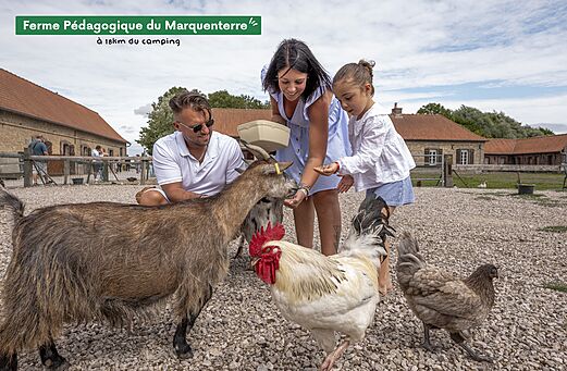 Familia alimentando cabras y aves de corral en la Granja Pedagógica del Marquenterre.