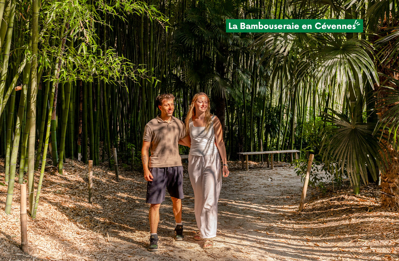 La Bambouseraie en C�vennes, jard�n ex�tico para visitar cerca del camping.
