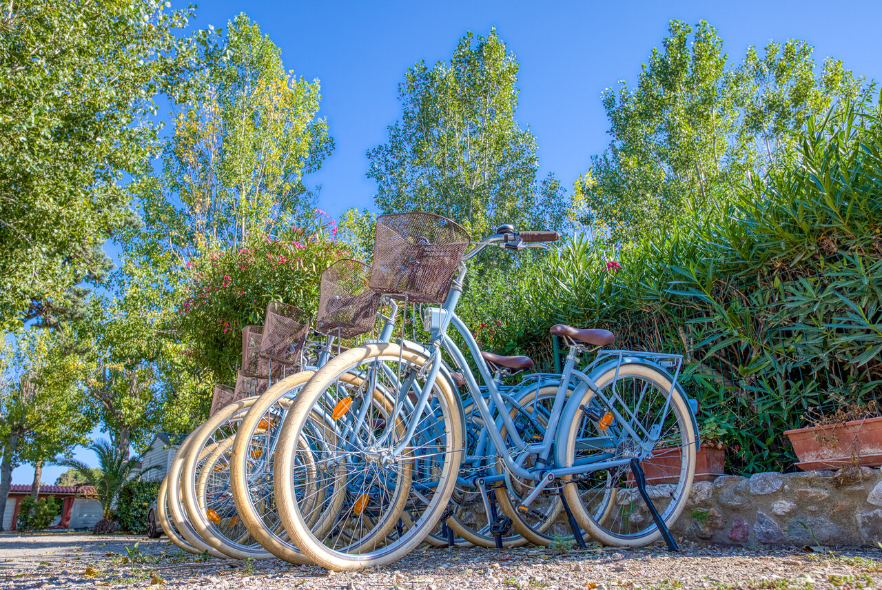 Bicicletas de alquiler con cestas, listas para paseos, en el camping VAGUES OCEANES Au Flamenco en Argel�s-sur-Mer (66).