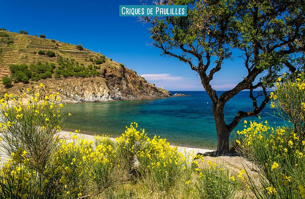 Criques de Paulilles, plage de galets et eaux turquoise pr�s d'Argel�s-sur-Mer (66).