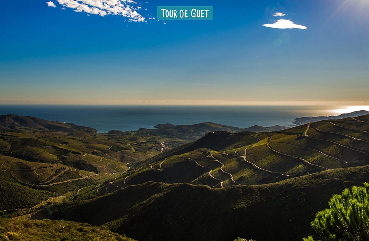 Tour de Guet, panorama sur la c�te m�diterran�enne et les vignobles d'Argel�s-sur-Mer.