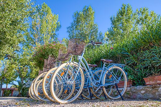 Bicicletas en el camping VAGUES OCEANES Au Flamenco, Argelès-sur-Mer (66).