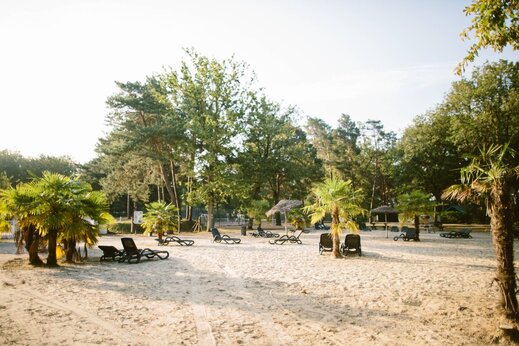 Playa de arena, palmeras y sillas en el camping CLICOCHIC La For�t d'Azal�e.