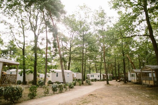 Cómodos Mobil-homes a la sombra en el camping CLICOCHIC La Forêt d'Azalée (91).