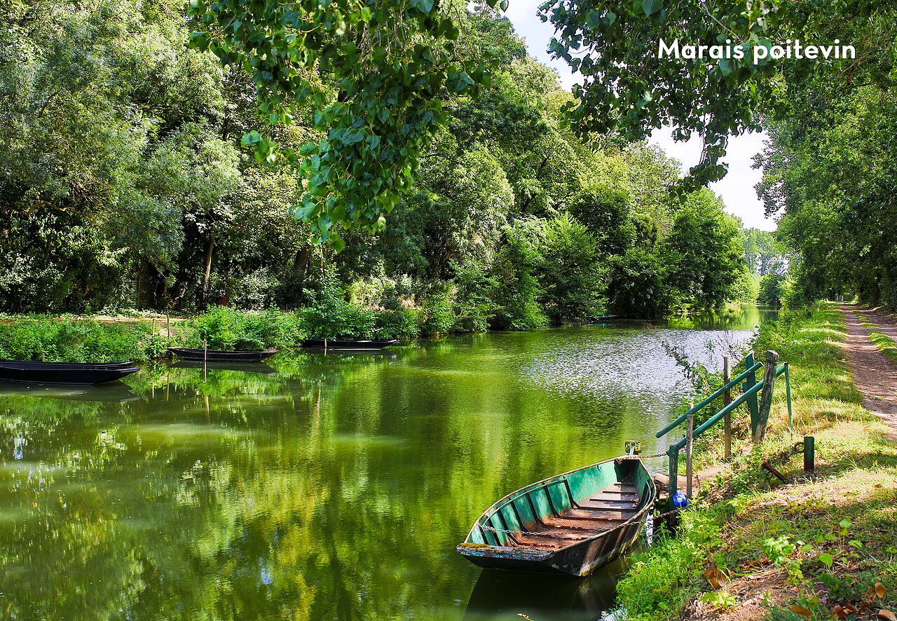 Barcas tradicionales en un canal verde del Marais Poitevin, regi�n Nueva Aquitania.