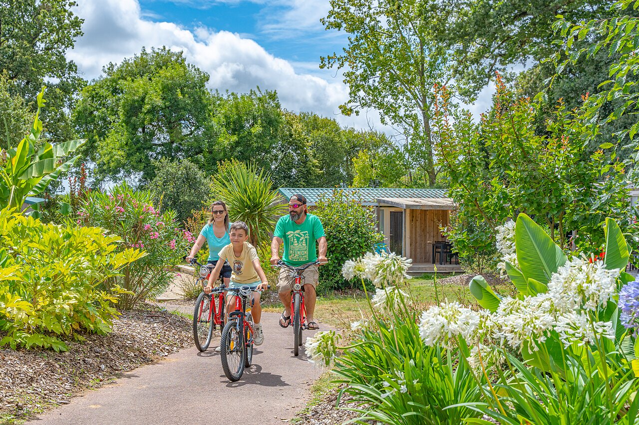 Familia en bicicleta por sendero florido, alojamiento al fondo en camping CAPFUN Forges en Avrille (85).