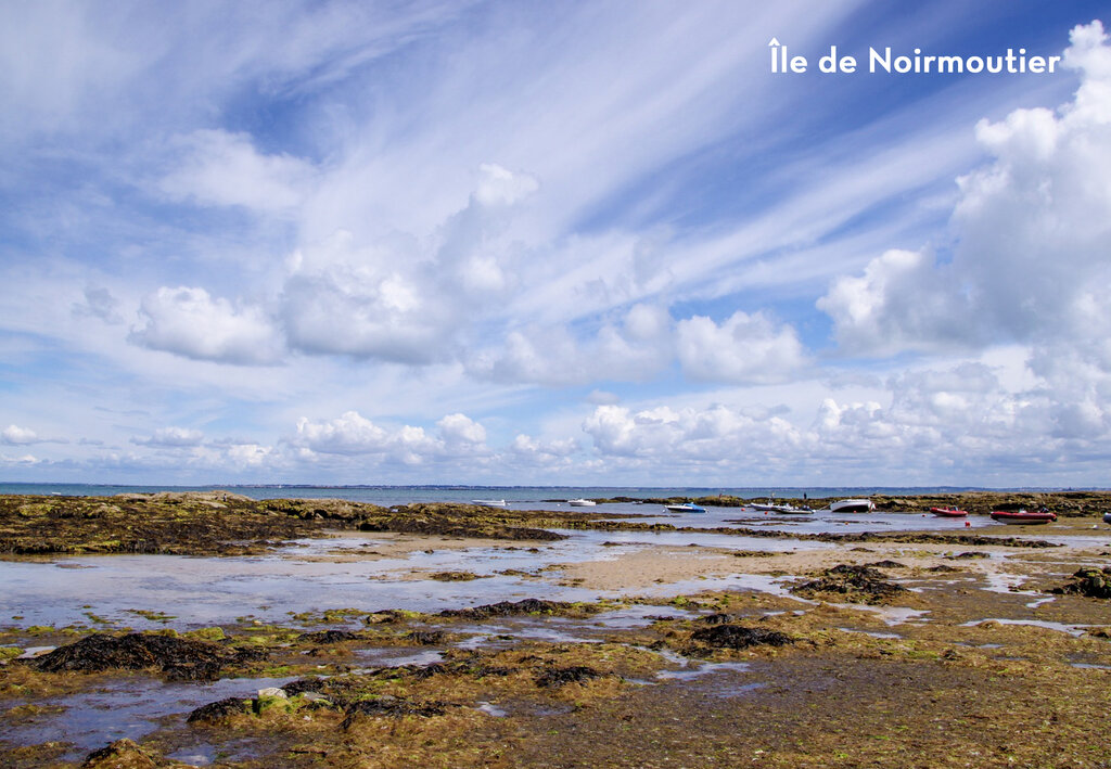 Les Forges, Camping Pays de la Loire - 17