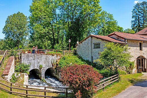 Puente de piedra antiguo, arroyo y naturaleza en el camping CLICOCHIC Forge Sainte Marie.