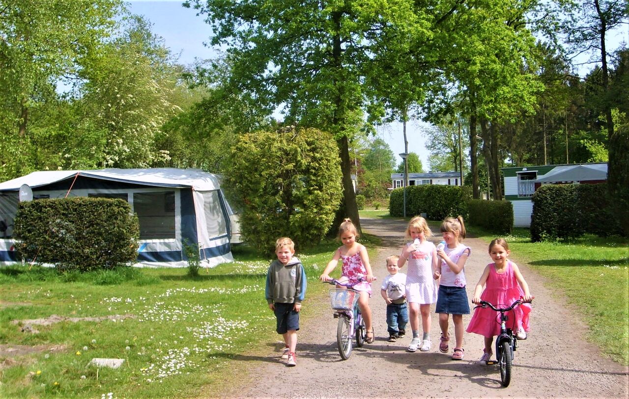 Ni�os en bicicleta y a pie en camino de camping, CAPFUN Fort Bedmar Sint-Gillis-Waas.