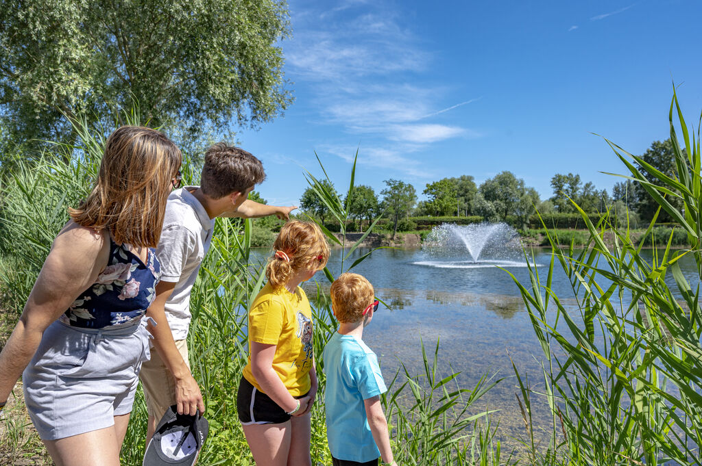 Fort Falabraque, Camping Alsace - 24