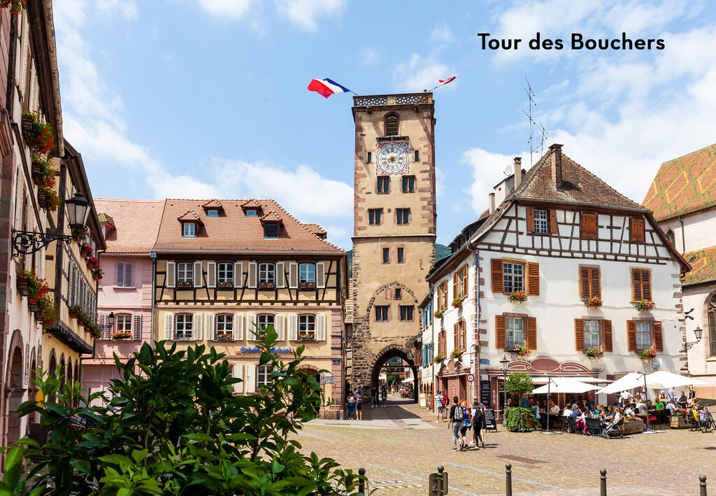 Fort Falabraque, Camping Alsace - 42