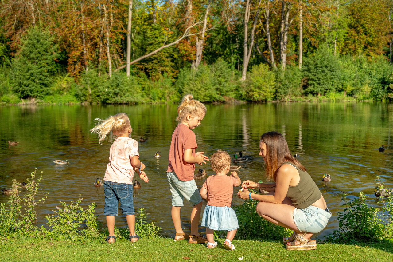 Familia alimentando patos junto a un lago, en el camping CAPFUN Fredland en Tournan en Brie (77).