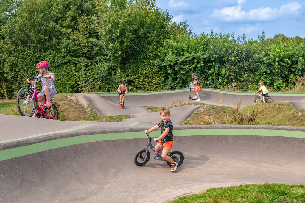 De Fruithof, Camping Drenthe - 7