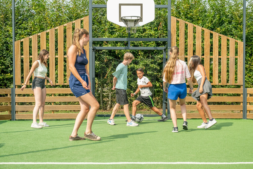 De Fruithof, Camping Drenthe - 14