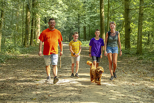 Familia con perro en sendero forestal del camping CAPFUN De Fruithof en Klijndijk.
