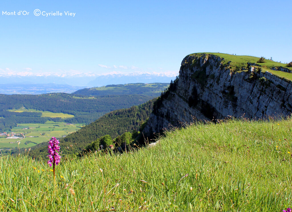 Fuvettes, Camping Franche Comt - 24