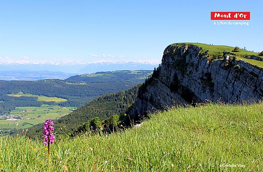Vista panor�mica del Mont d'Or, macizo monta�oso cerca de Malbuisson, Jura.