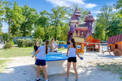 Mesa de ping-pong, �rea de juegos en el camping CAPFUN Grenouill�re en Su�vres (41).