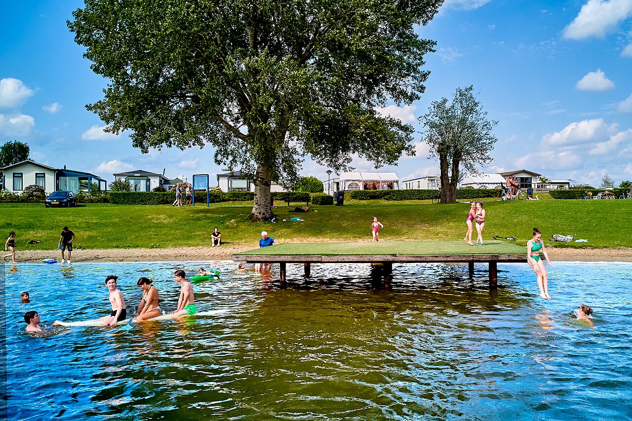 Actividades acu�ticas, ba�o y muelle en el lago del camping CAPFUN Groene Eiland en Appeltern.