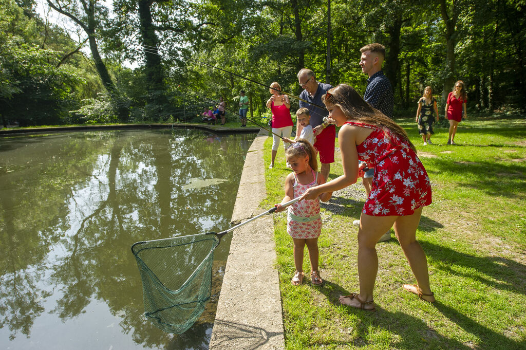 L'Hirondelle, Camping Ardennes - 29