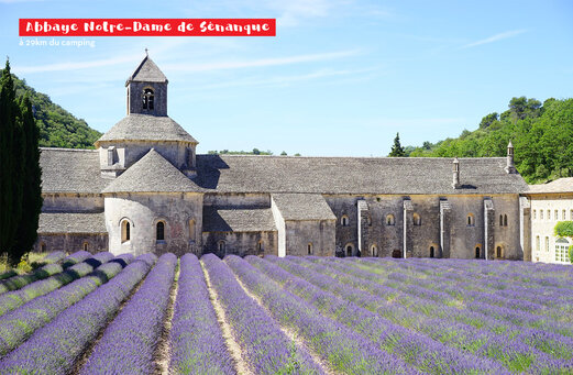 Abadía Notre-Dame de Sénanque y campos de lavanda, lugar para visitar cerca de Gordes.