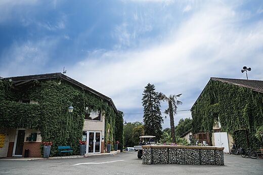 Edificios de recepci�n cubiertos de hiedra en el camping CAPFUN Lac des 3 Vall�es en Lectoure (32).