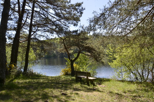Lago tranquilo, banco sombreado, en el camping CLICOCHIC Lac de Miel en Beynat (19).