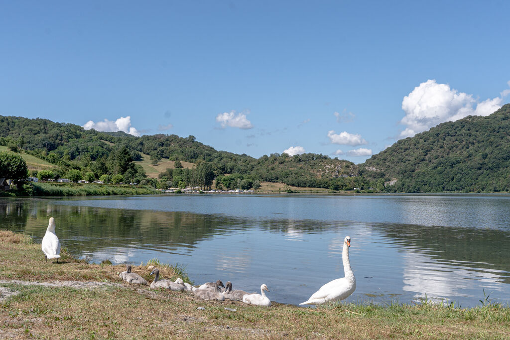 Lac du Lit du Roi, Camping Rhone Alpes - 19