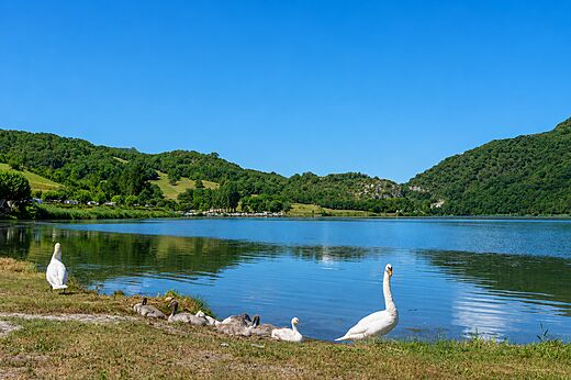 Lago en el camping CLICOCHIC Lac du Lit du Roi en Massignieu-de-Rives.