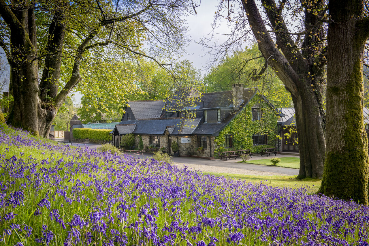 Edificio principal, campo de campanillas, naturaleza en el camping CAPFUN UK Lakeview Manor.