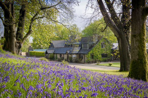 Campo de campanillas y edificio principal del camping CAPFUN UK Lakeview Manor.
