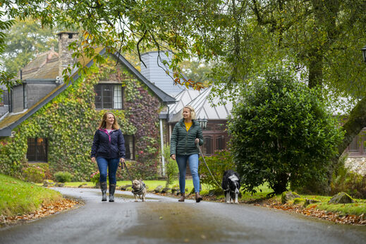 Mujeres y perros paseando por sendero verde, camping CAPFUN UK Lakeview Manor en Dunkeswell.