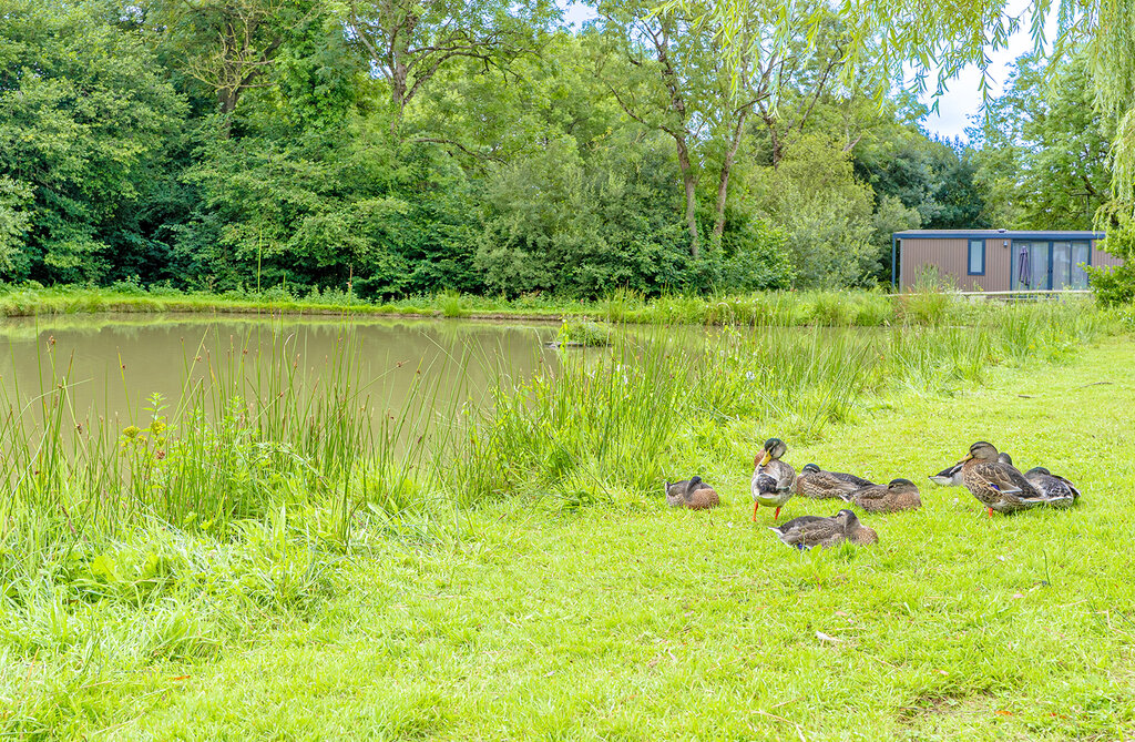 Les Iles, Campingplatz Normandie - 36