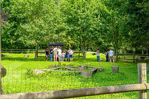 Mini-granja con animales y familias en el camping VAGUES OCEANES Les Iles en Hudimesnil.