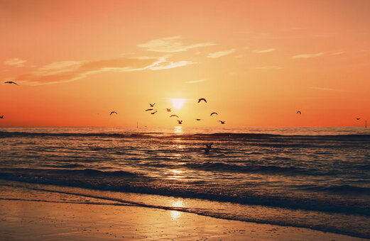 Playa de arena y océano al atardecer con aves en el camping VAGUES OCEANES Licorne en Dunkerque (59).