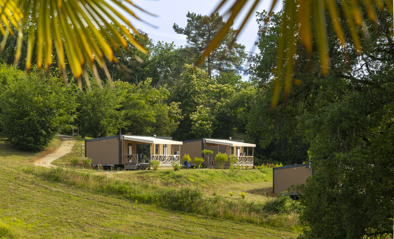 Modernos mobile homes con terrazas en plena naturaleza en el camping CLICOCHIC Linotte en Le Bugue (24).